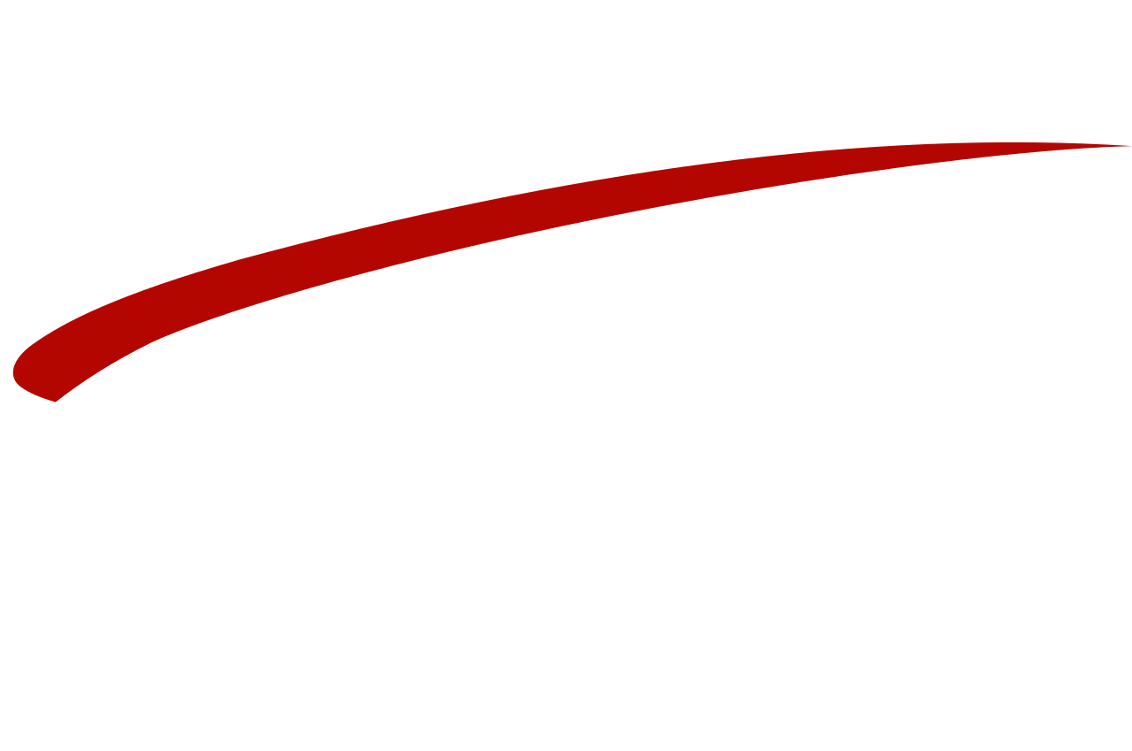 Clarion Consulting