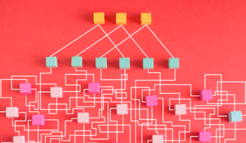 Colored blocks in a tangled network illustrating institutional maturity gaps in mid-sized companies, Clarion Consulting
