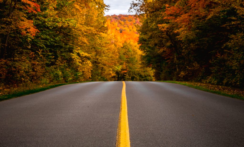 Strategic Foresight - Clarion Consulting